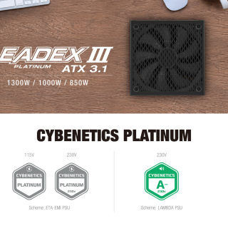 ifor_EDM_LEADEX III PL_260811_01_130